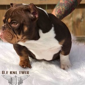 Meet your Posher, Antonio